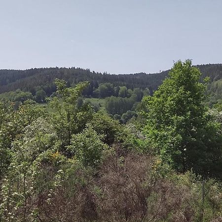 Sessles Waldhaeusschen Dietzhausen Зуль Екстер'єр фото